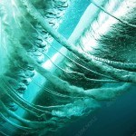 Zak Noyle Sea Spiral