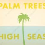 Palm Trees High Seas by Matt Allen